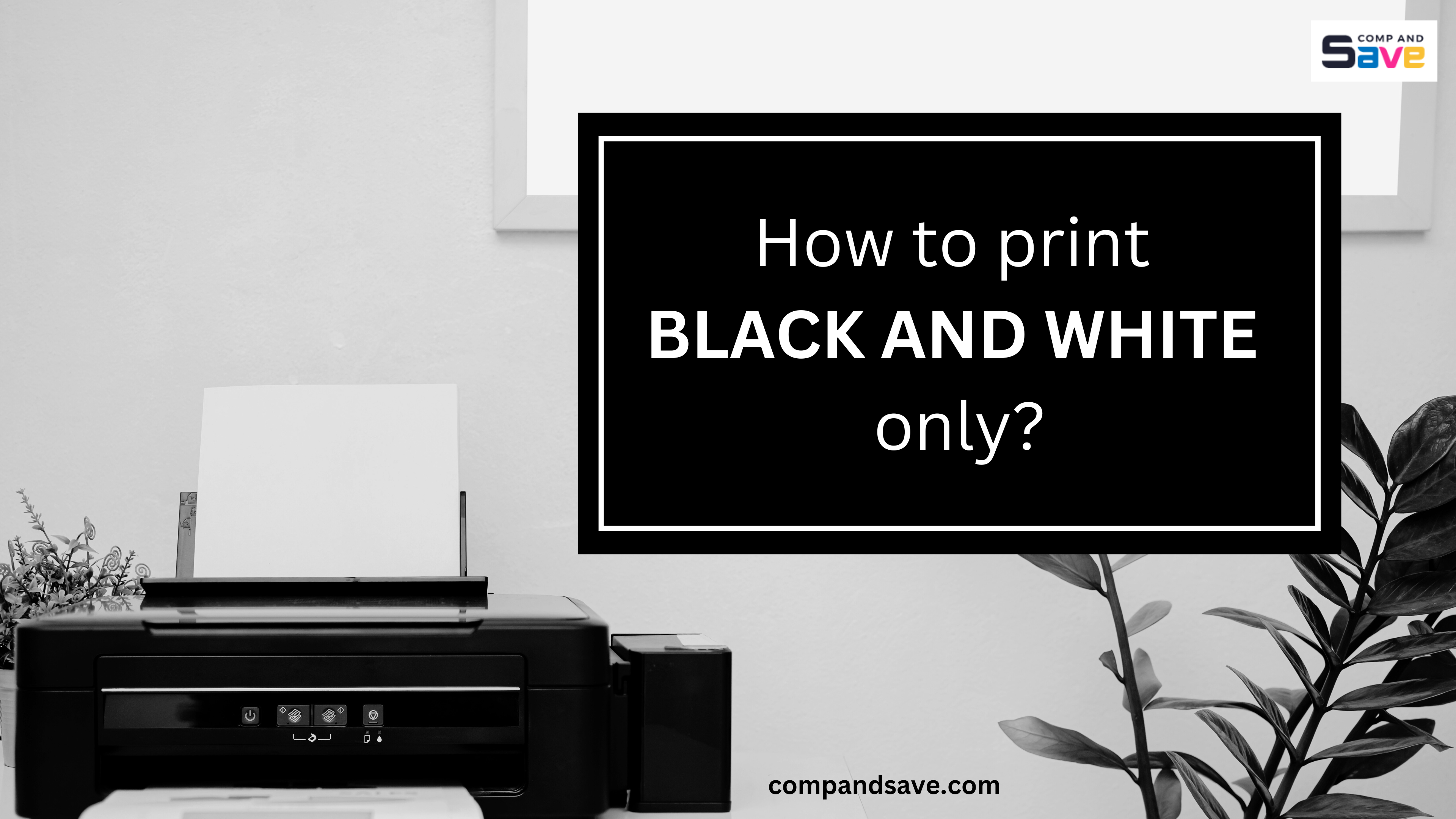 image from How to Print Black and White Only: Ways to Monochrome Printing